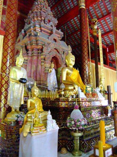DSCF8761 (Medium).JPG